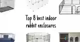 bunny proof best indoor bunny enclosures