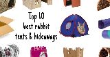 top 10 best bunny tents hideaways
