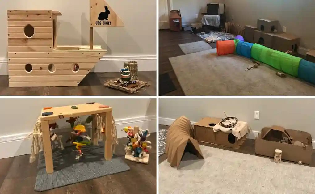 bunny play room