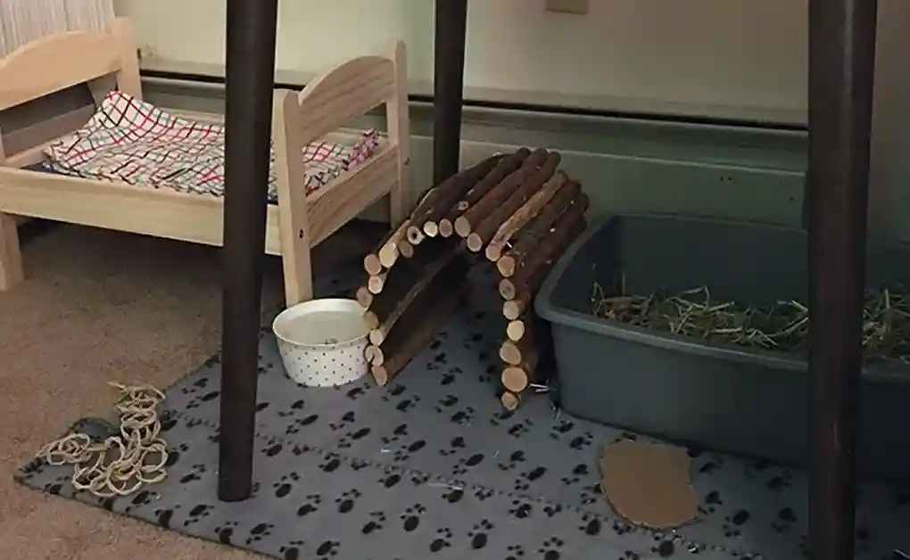 bunny willow bridge bed toys