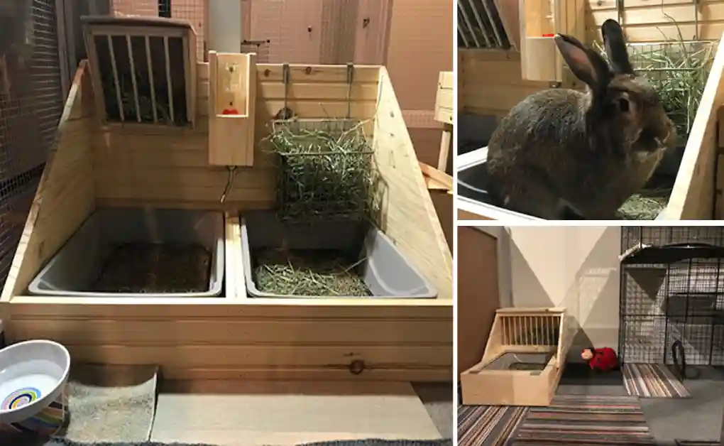 custom made bunny litter tray hay feeder