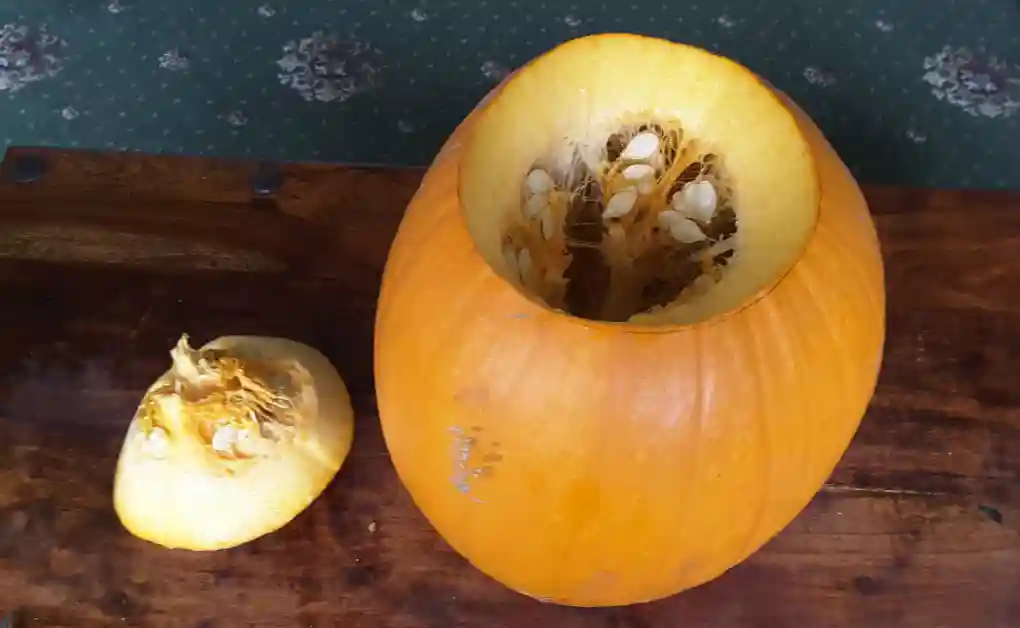 halloween bunny pumpkin carving lid