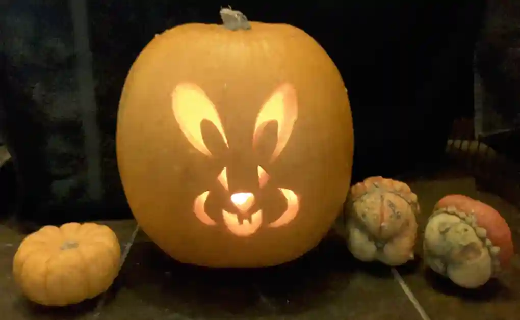 halloween bunny pumpkin carving