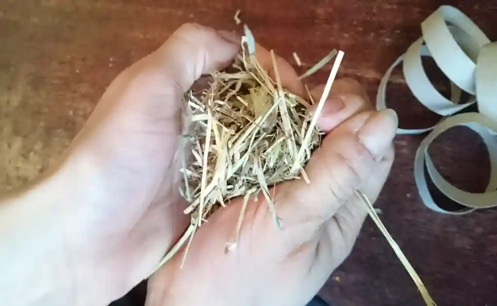 rabbit toy toilet roll hay ball pt2