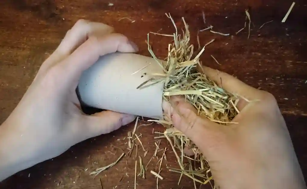 rabbit toy toilet roll hay roll pt2
