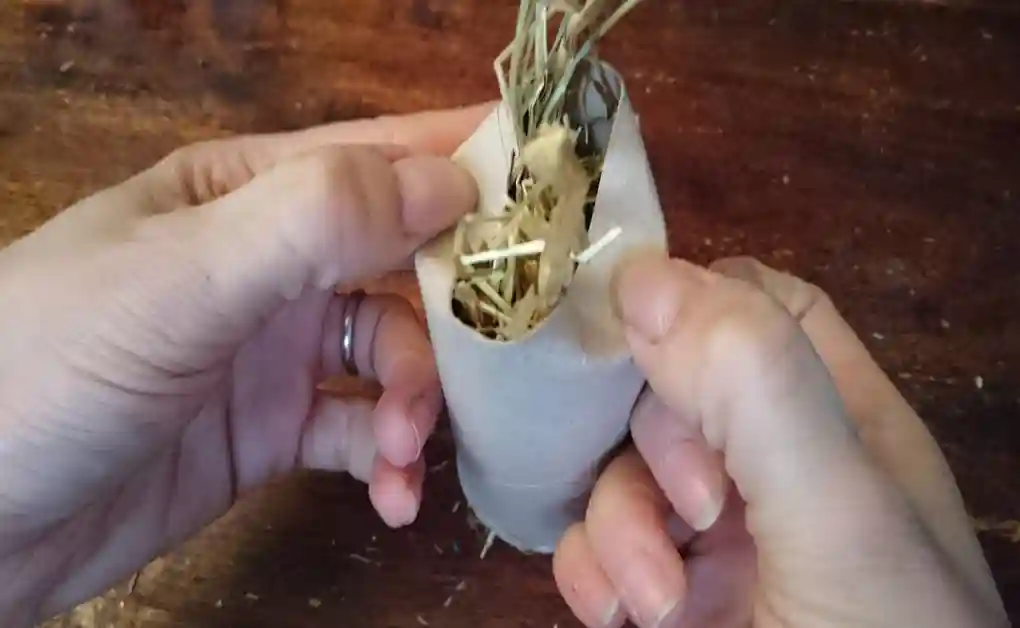 rabbit toy toilet roll hay roll pt3