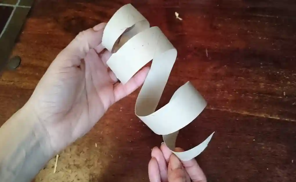 rabbit toy toilet roll spiral pt3